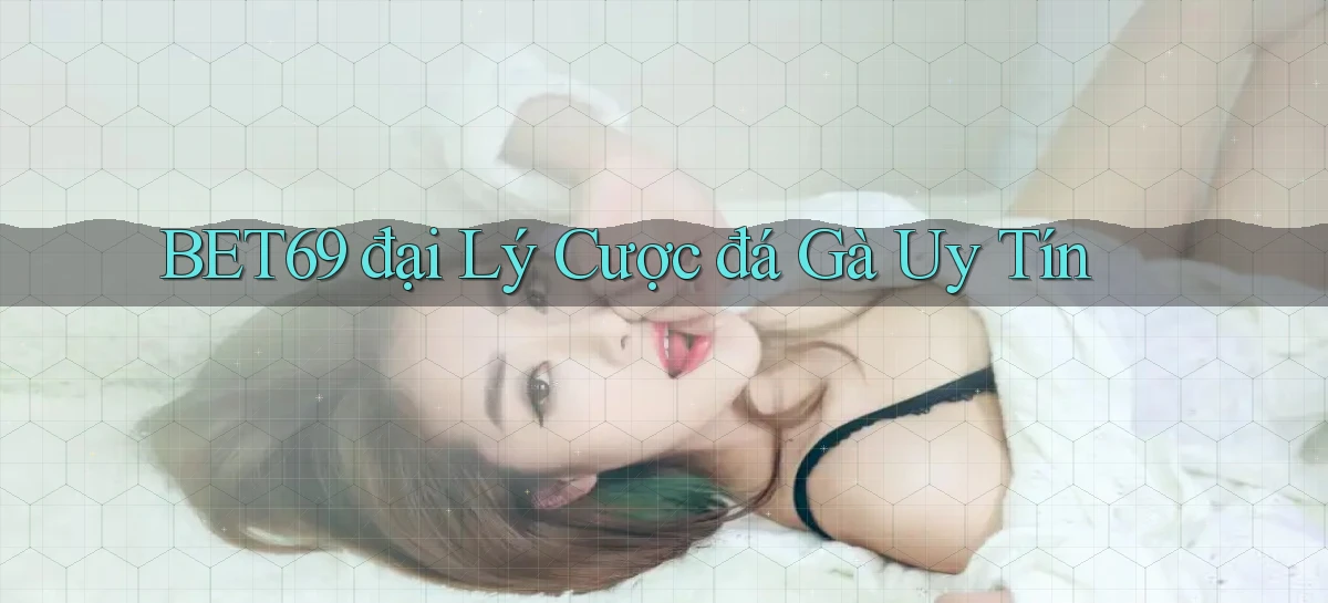 bet69  đại lý cược đá gà uy tín