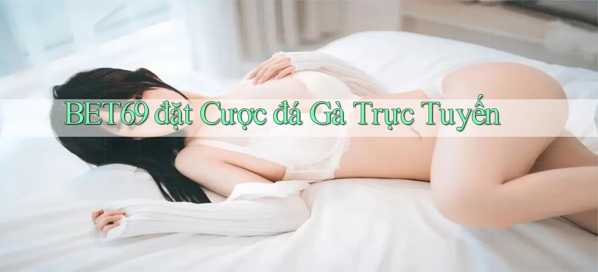 bet69  đặt cược đá gà trực tuyến