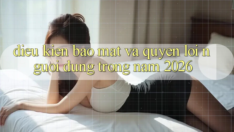 Điều kiện Bảo Mật Và Quyền Lợi Người dùng Trong Năm 2026 Điều kiện Bảo Mật Và Quyền Lợi Người dùng Trong Năm 2026