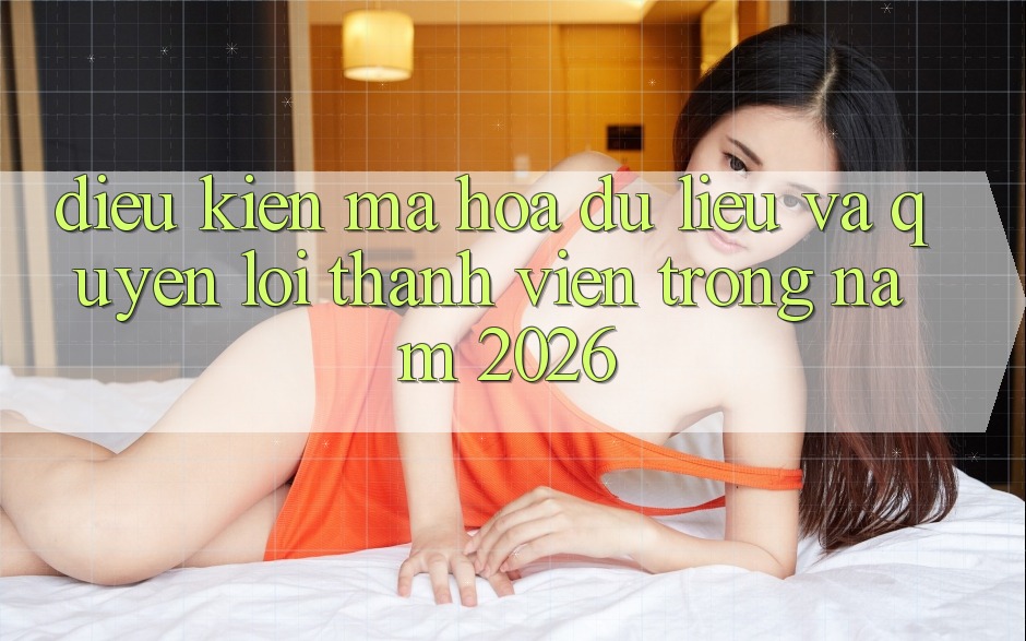 Điều kiện Mã hóa dữ liệu Và Quyền Lợi Thành Viên Trong Năm 2026 Điều kiện Mã hóa dữ liệu Và Quyền Lợi Thành Viên Trong Năm 2026
