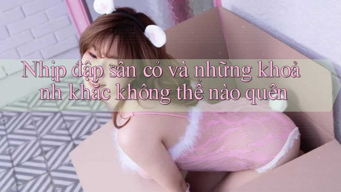 Nhịp đập sân cỏ và những khoảnh khắc không thể nào quên Nhịp đập sân cỏ và những khoảnh khắc không thể nào quên