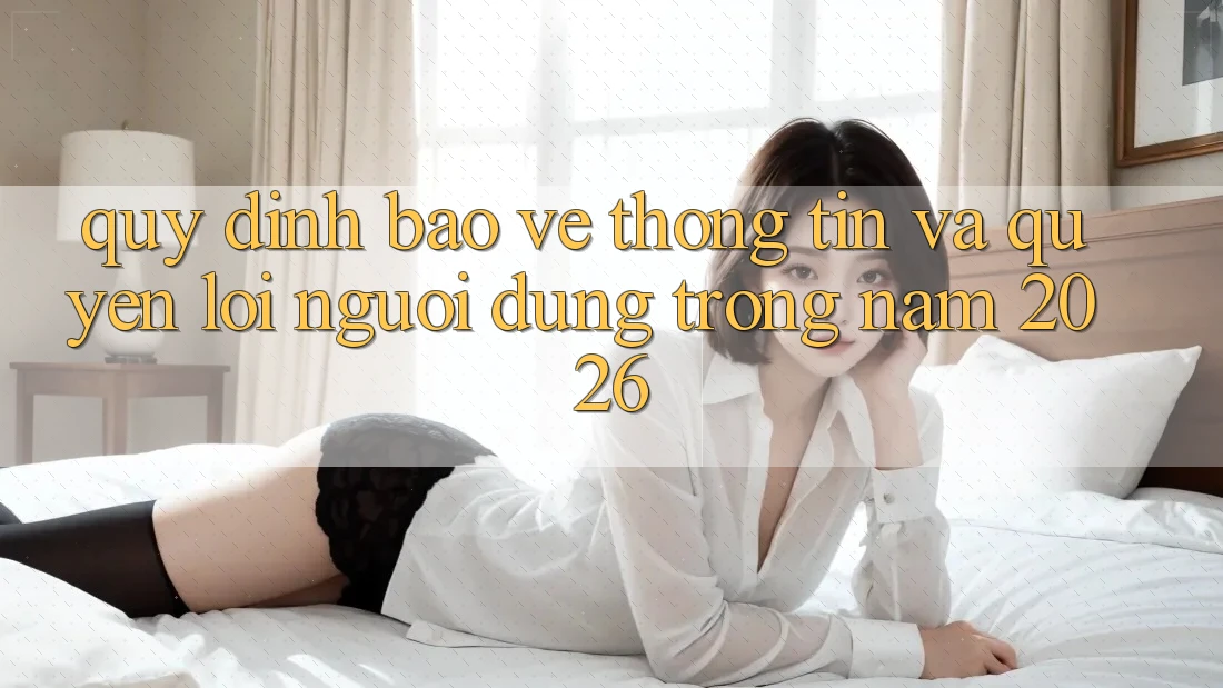 Quy định Bảo vệ thông tin Và Quyền Lợi Người dùng Trong Năm 2026 Quy định Bảo vệ thông tin Và Quyền Lợi Người dùng Trong Năm 2026