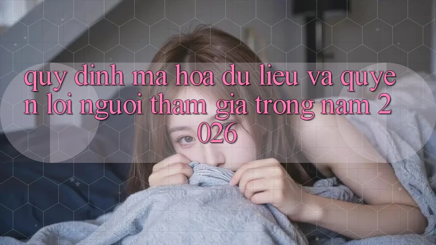 Quy định Mã hóa dữ liệu Và Quyền Lợi Người tham gia Trong Năm 2026 Quy định Mã hóa dữ liệu Và Quyền Lợi Người tham gia Trong Năm 2026