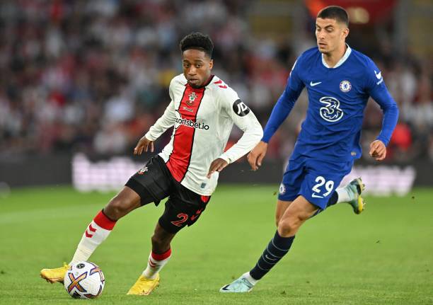 有极强的身 有极强的身